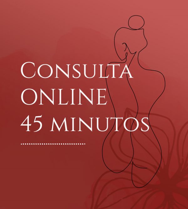 CONSULTA ONLINE · 45 minutos
