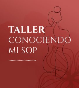 TALLER · CONOCIENDO MI SOP 