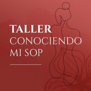 TALLER · CONOCIENDO MI SOP 