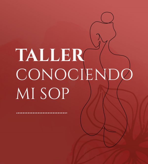 TALLER · CONOCIENDO MI SOP 